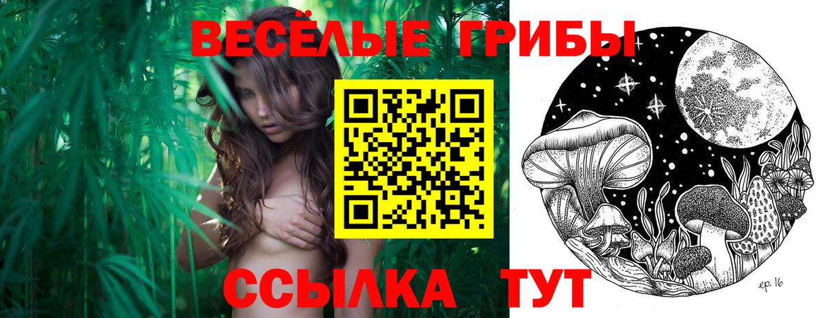 Галлюциногенные грибы MAGIC MUSHROOMS  Псилоцибиновые грибы GOLDEN TEACHER  Вход с VPN  Выборг 