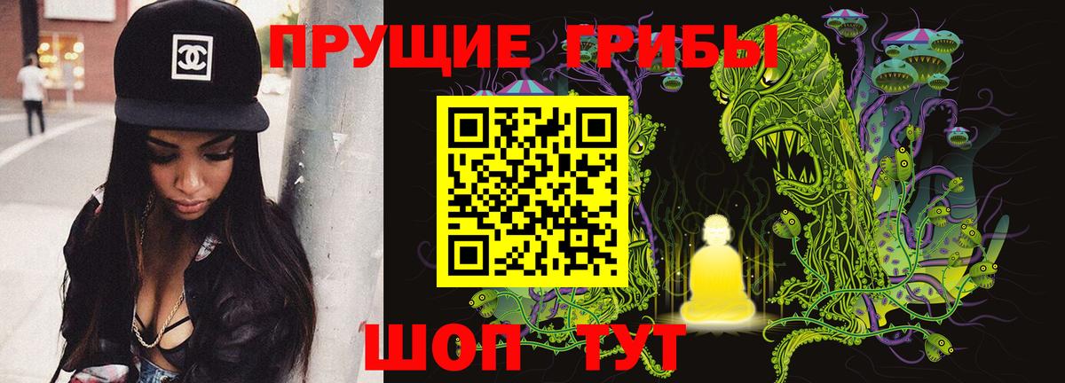 Псилоцибиновые грибы мицелий Выборг